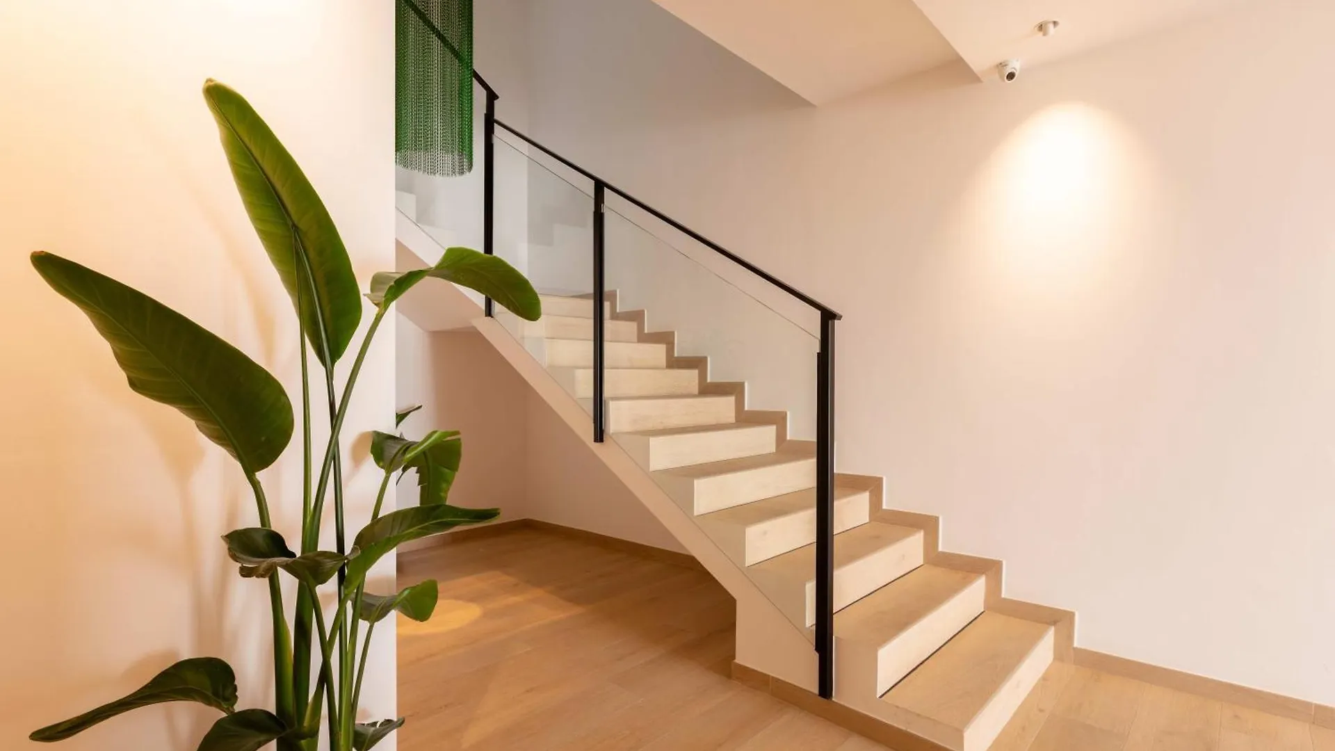 ** Hotel Hostal Mari San Antonio  Spain